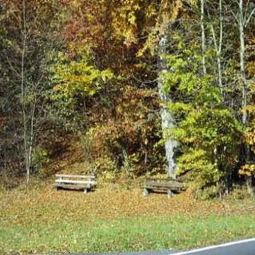 Herbstwald "Rundbank"